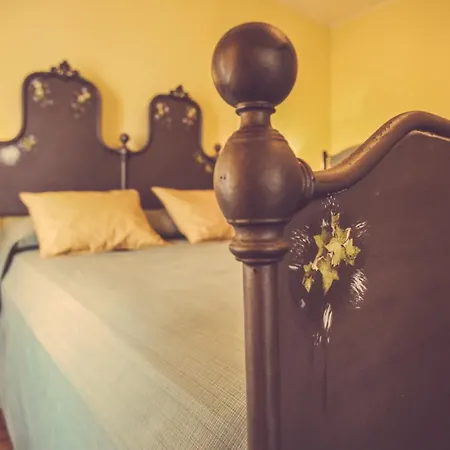 Farm stay I Suri