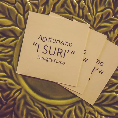 I Suri *