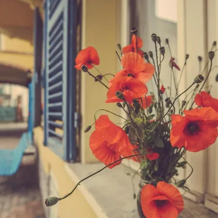 Alojamento de Turismo Rural I Suri Asti