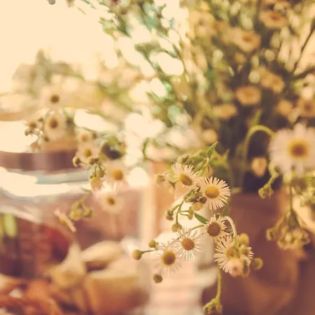 Farmház I Suri Asti