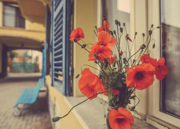 Bauernhof I Suri Asti